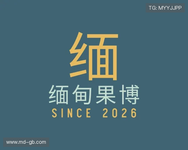 关于缅甸果博